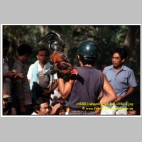 14585 Hahnenkampf Bali 1986 2.jpg